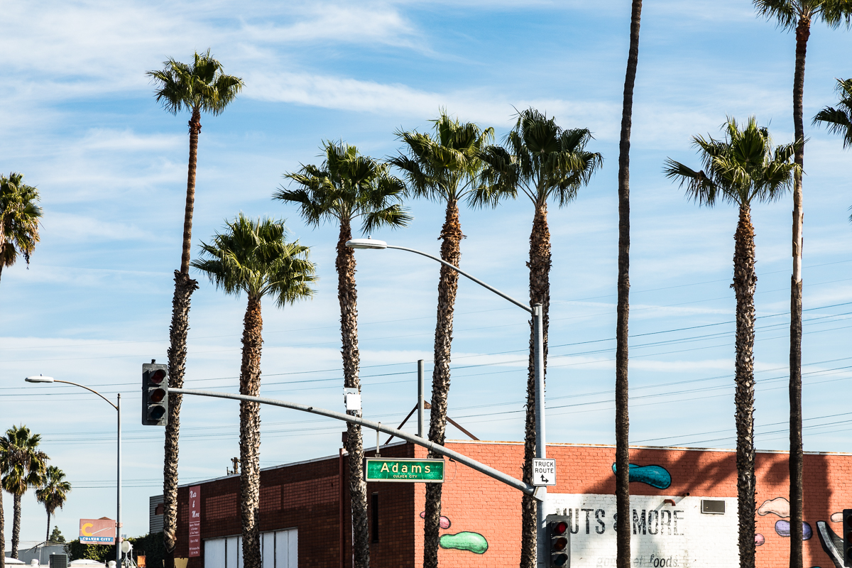 Adams Boulevard in Culver City
